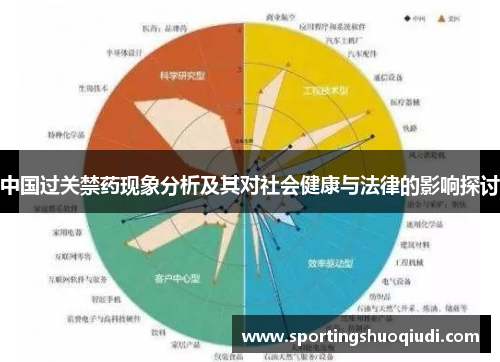 中国过关禁药现象分析及其对社会健康与法律的影响探讨